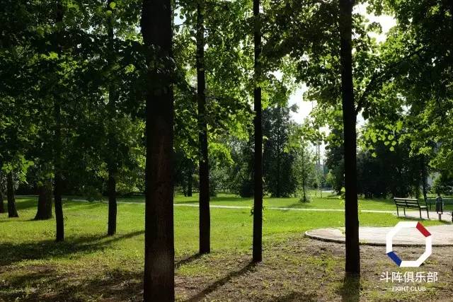 ufc群星混剪合集,ufc群星发布会嘴炮