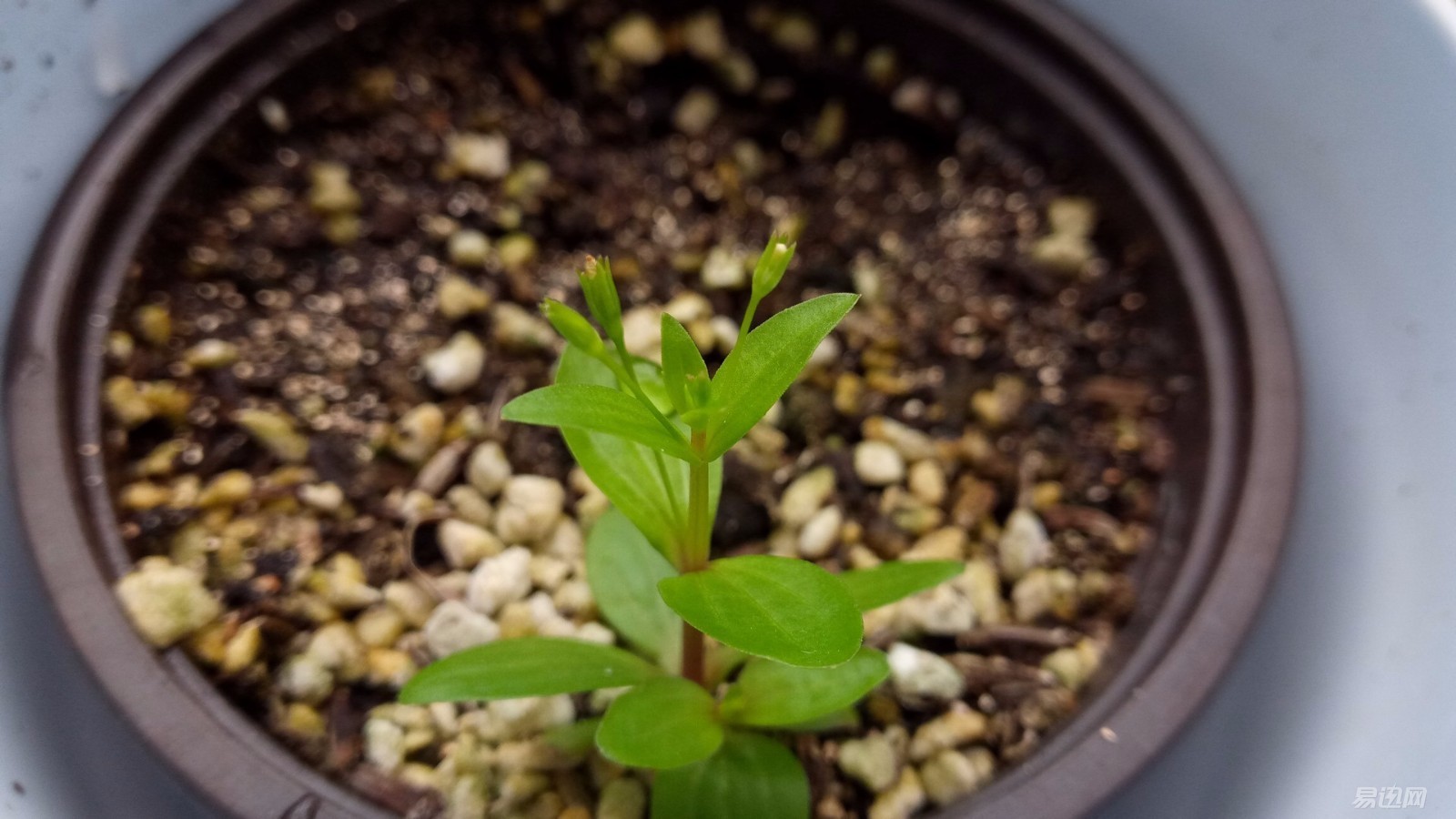 中兴v7max值得入手吗,中兴v716续航