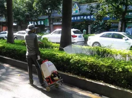 海珠防治白蚁,2014年海珠区登革热