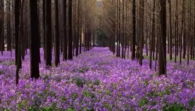 南京地铁三期最新消息,南京最近要开通的地铁