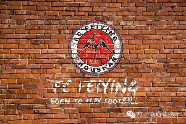 足球浙江队最好的球员,舟山市足球联赛