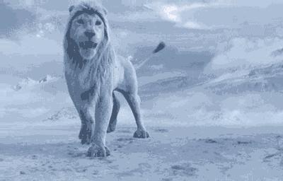 2集播放破5亿,两集播放量破亿