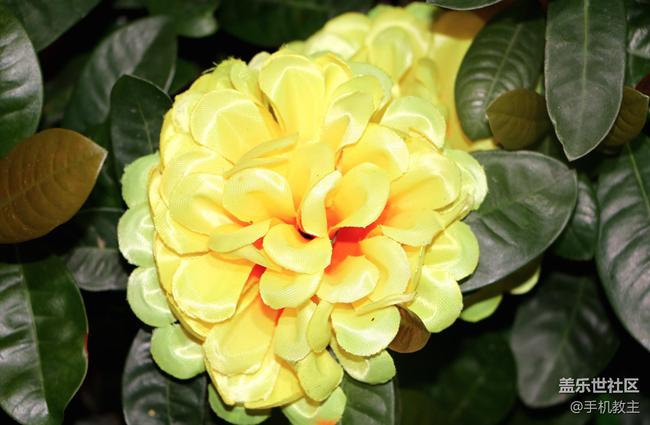 三星galaxyc7评测视频,三星galaxyc7pro评测