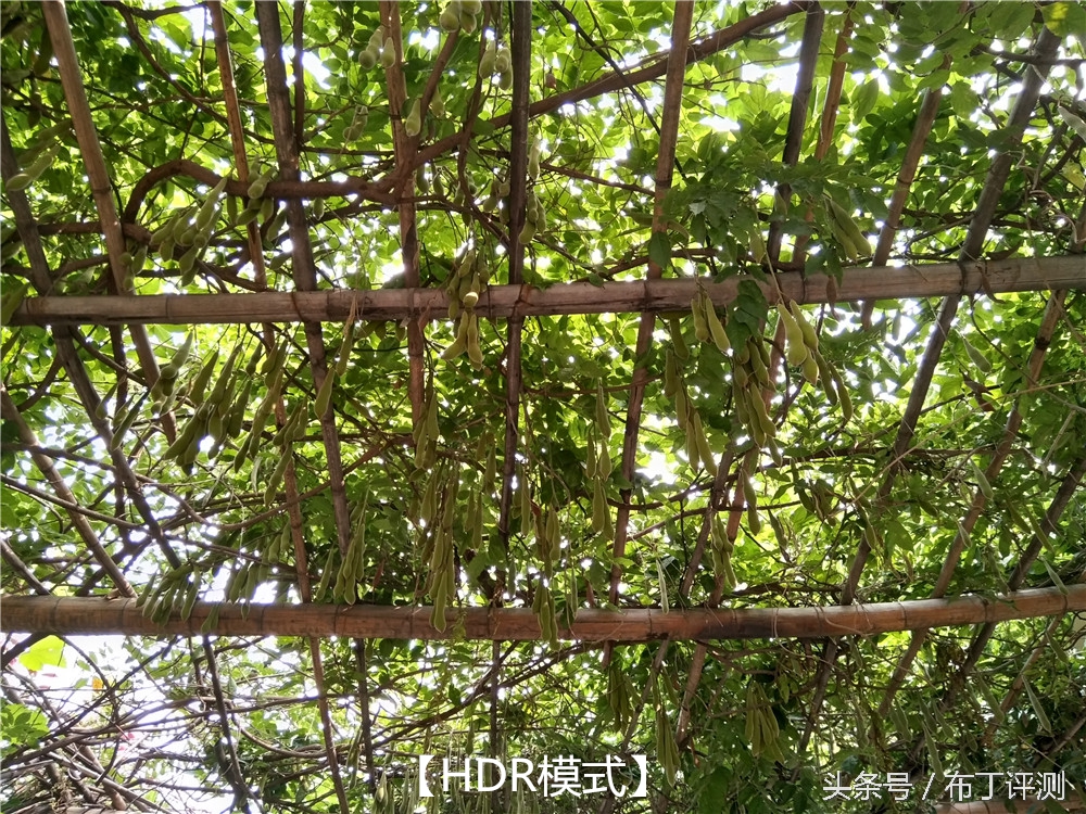 vivox71600万柔光双摄,vivox7拍照效果