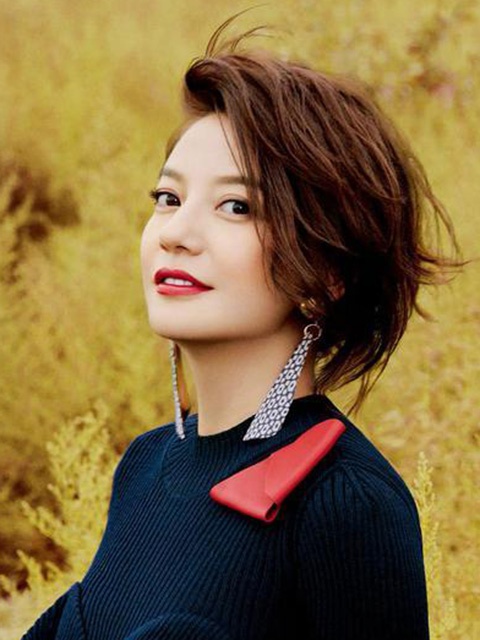 赵薇商业价值,赵薇为什么有这么多的资金