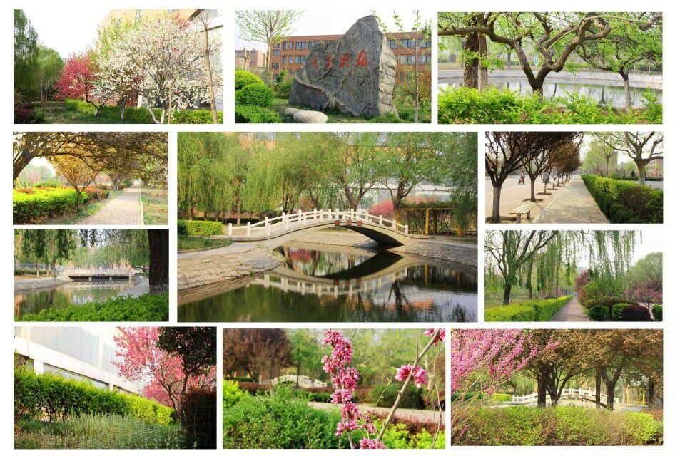 山东华宇工学院排名,山东华宇工学院的口碑