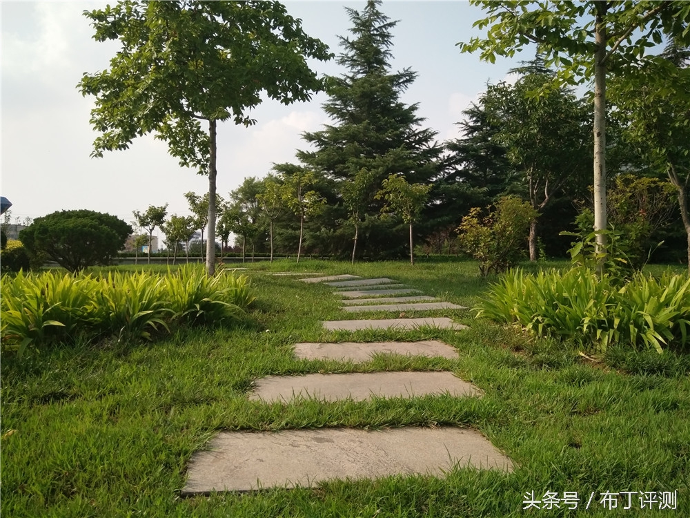 vivox71600万柔光双摄,vivox7拍照效果