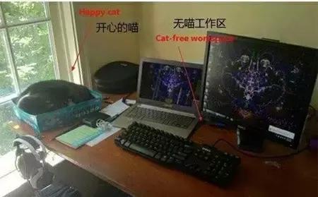 合格的铲屎官要做什么,怎样判断是否是合格的铲屎官