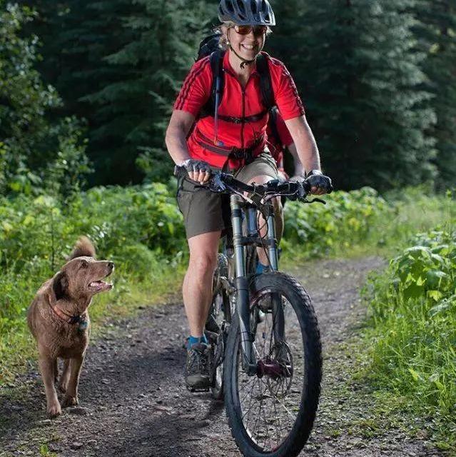 自行车骑行西藏遇狗,骑车被狗追怎么办