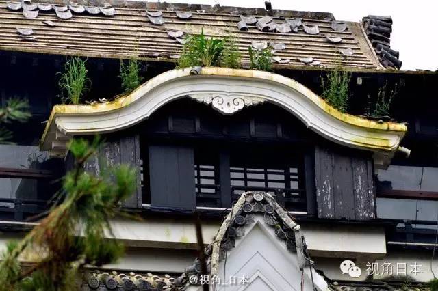 三鹰之森吉卜力美术馆到成田机场,三鹰之森吉卜力美术馆闭馆时间