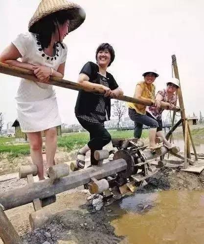 休闲农业可以开发哪些创意,休闲农业学什么课程