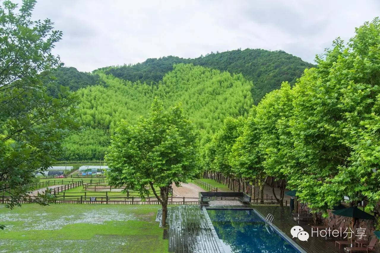 莫干山裸心谷的风景怎么样,莫干山裸心谷值得去吗