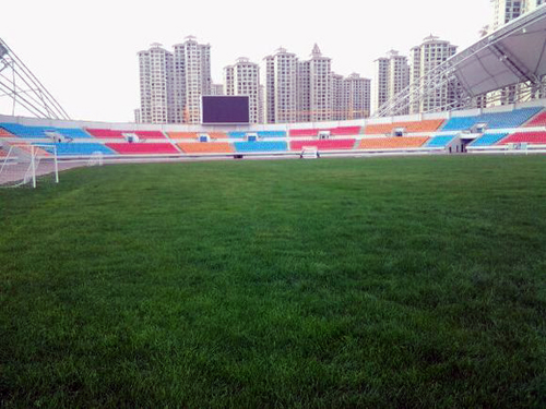 汉中笼式足球,汉中足球场都有哪些