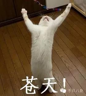 你们都在吐槽她的节目不如“康熙”，可她的人生已经赢得了掌声！