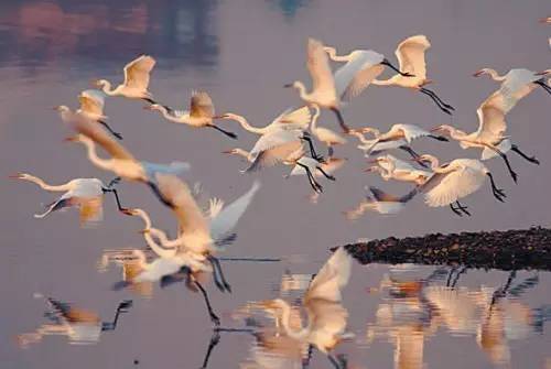 辽宁景点门票,辽宁省景点大全一览表