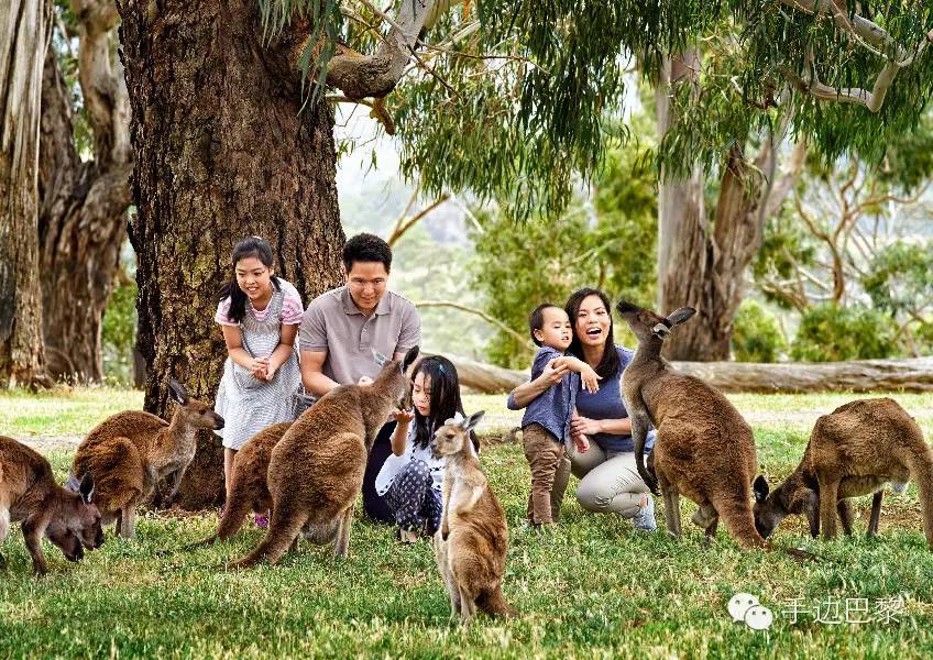 免签旅游地,免签地区汇总