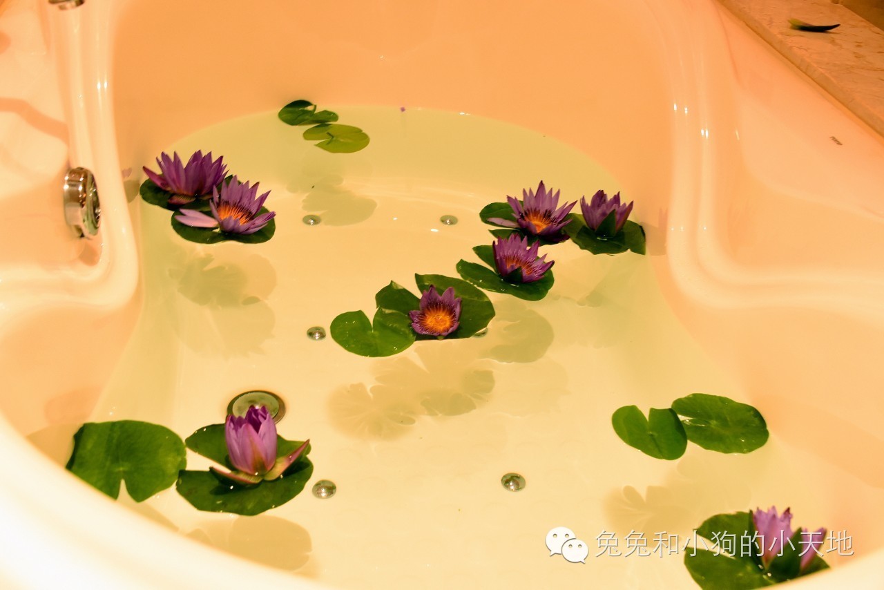 来到巴厘岛的文案,欢迎来到巴厘岛语音