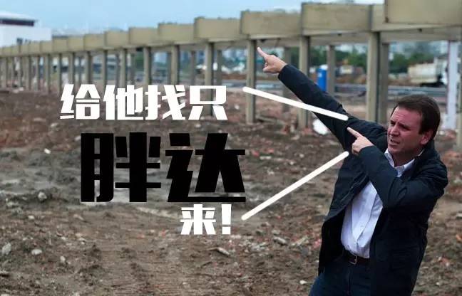 本届巴西奥组委:谁能帮我海淘只熊猫?