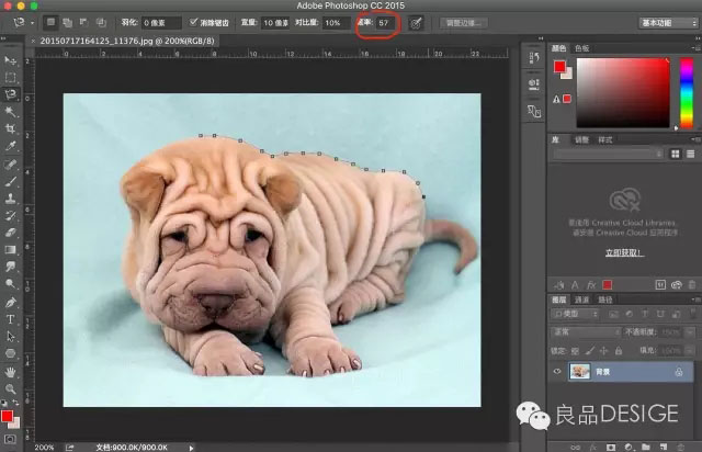 17版ps抠图最快又完整的方法,ps抠图教程推荐2种常用的抠图方法