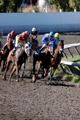 8月6日-8月12日大温一周精彩活动一起来看流星雨吧!