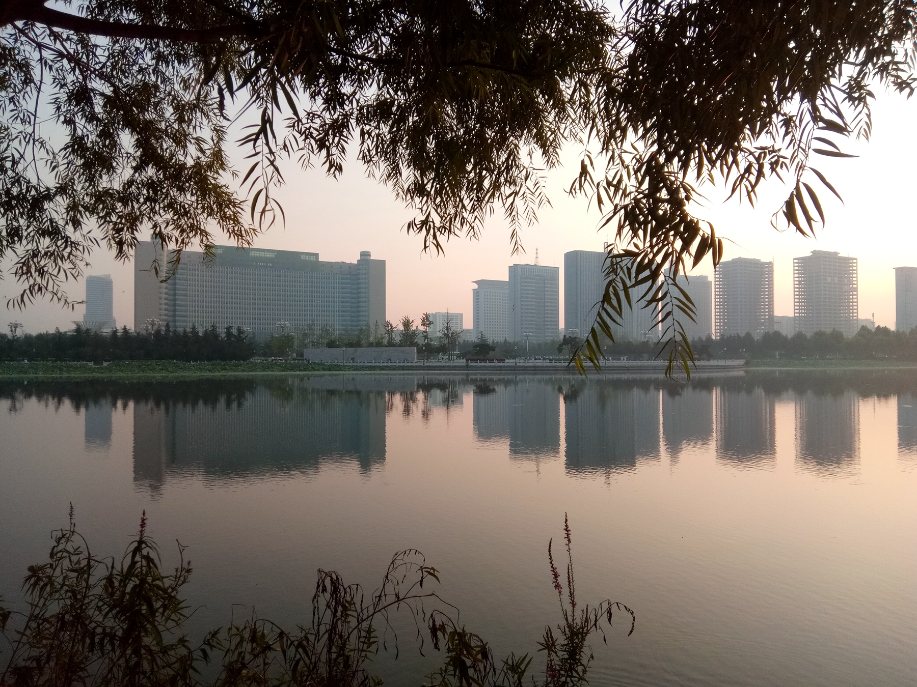 小品牌性价比电动车,酷比max5参数