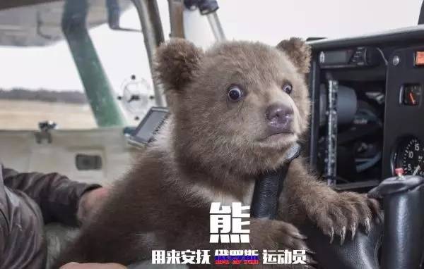 中国运动员在巴西被偷,奥组委这样补偿行不行?