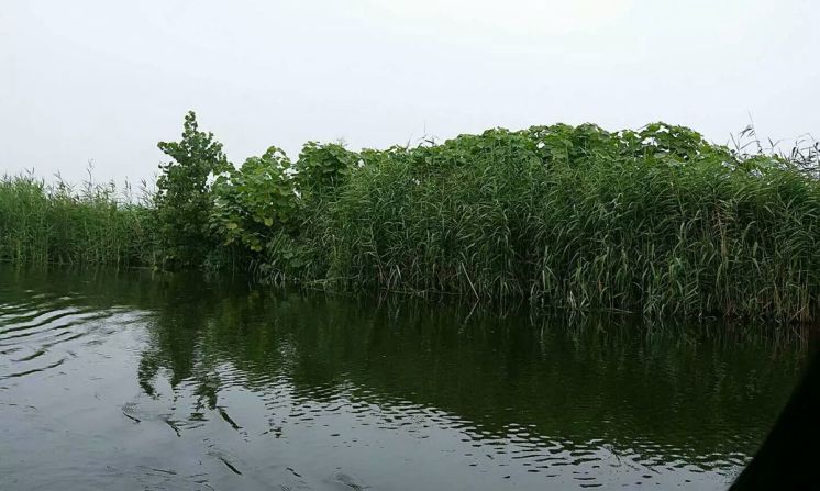 vivox7上手体验,vivox7缺点演示