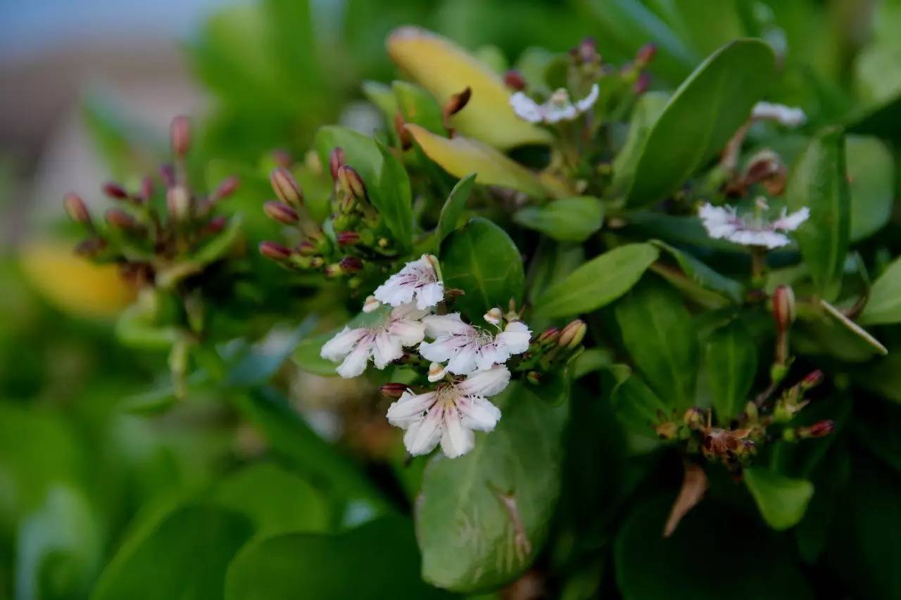 路虎揽胜漳州,揽胜海洋之心