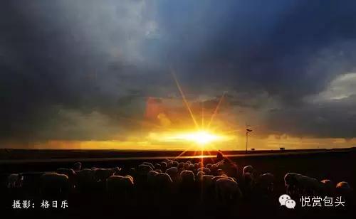 包头草原看星空,草原之上视频