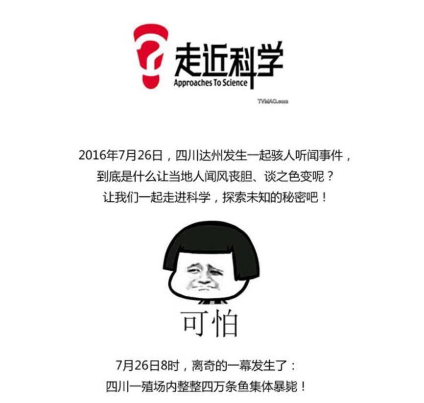 机智如你字面意思,机智如你粤语