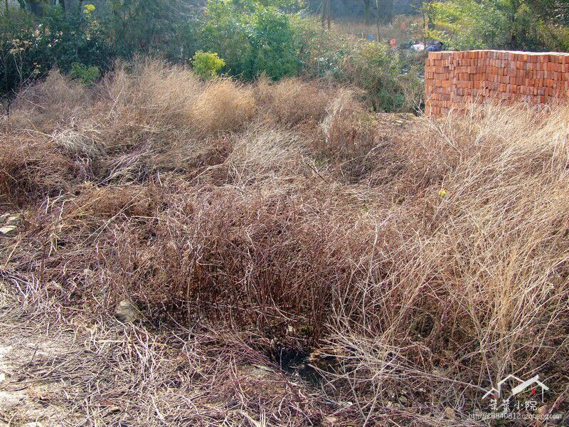 哪里适合隐居过田园生活,唯美的田园隐居生活