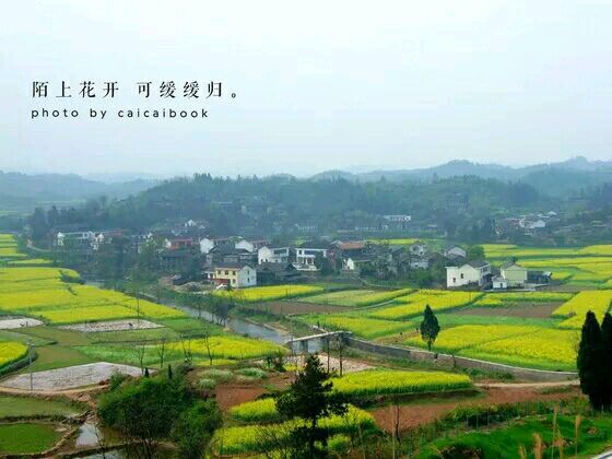 哪里适合隐居过田园生活,唯美的田园隐居生活