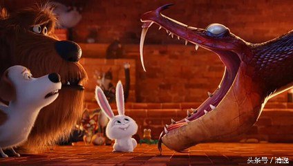 catchmybreath爱宠大机密高燃混剪,动物电影爱宠大机密