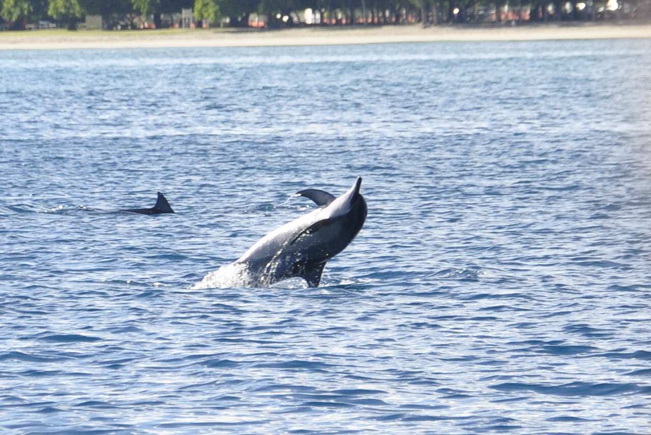 如果有天堂一定很美,毛里求斯旅游自由行攻略大全