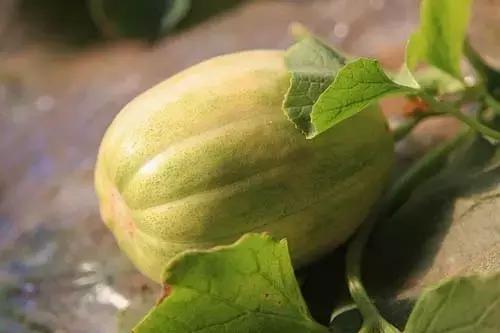 牡丹江人有福吗,牡丹江人生活好吗