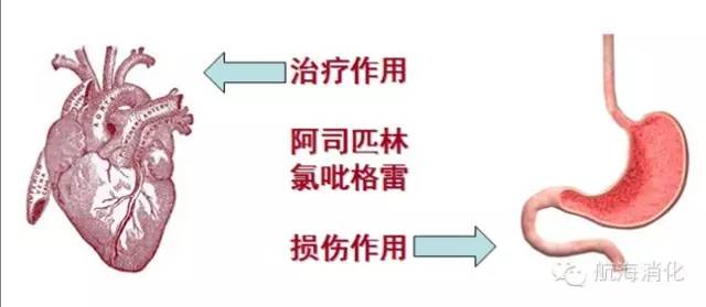 阿司匹林氯吡格雷肠道出血,阿司匹林和氯吡格雷伤胃怎么办