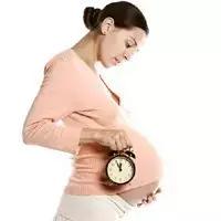 怀孕期间的检查时间和顺序,怀孕期间的检查项目及顺序