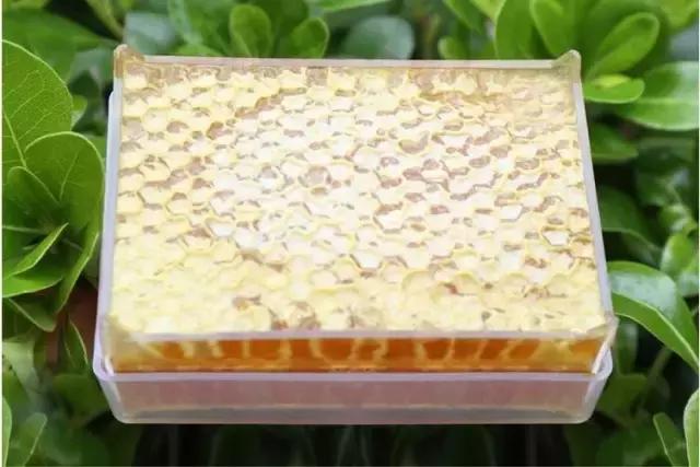你见过可以嚼着吃的蜂蜜吗,像口香糖样嚼着吃的蜂蜜