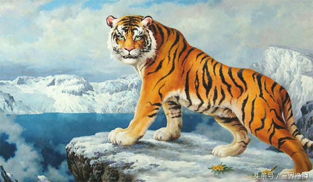 今年犯太岁的生肖要怎么规避,兔犯太岁戴什么生肖化解吉祥