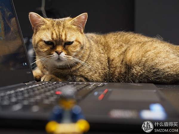 年度办公之选:ThinkPadX1Carbonby林之乎