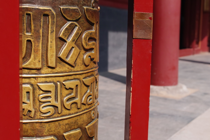 适马sdquattroh值不值得入手,适马sdquattroh配镜头