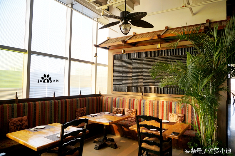 一晴方觉夏深，赴一场蘑菇的饕餮盛宴