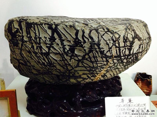 小石头也玩奥运？你别说还真的挺像那么回事