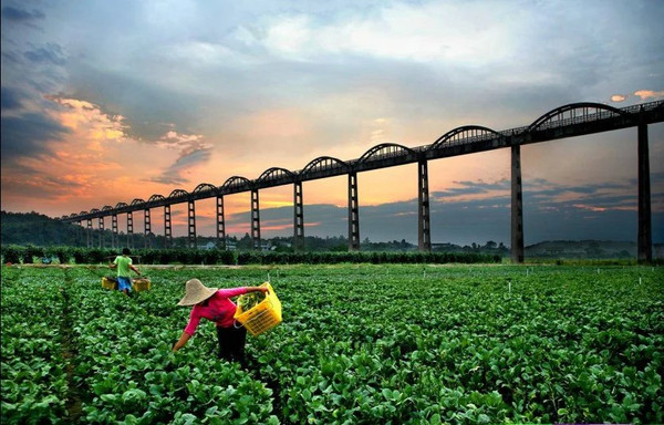 最新长沙旅游推荐,去长沙旅游必去的景点有哪些