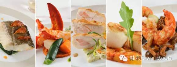 世界顶级奢华尊享vip头等舱,尊享经济舱什么样子