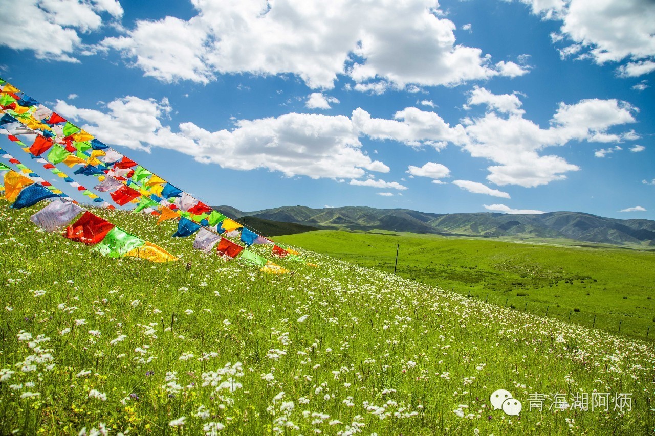 青海湖和沙坡头哪个更值得去,12月青海湖值得去吗