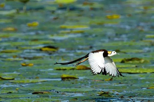 最新长沙旅游推荐,去长沙旅游必去的景点有哪些
