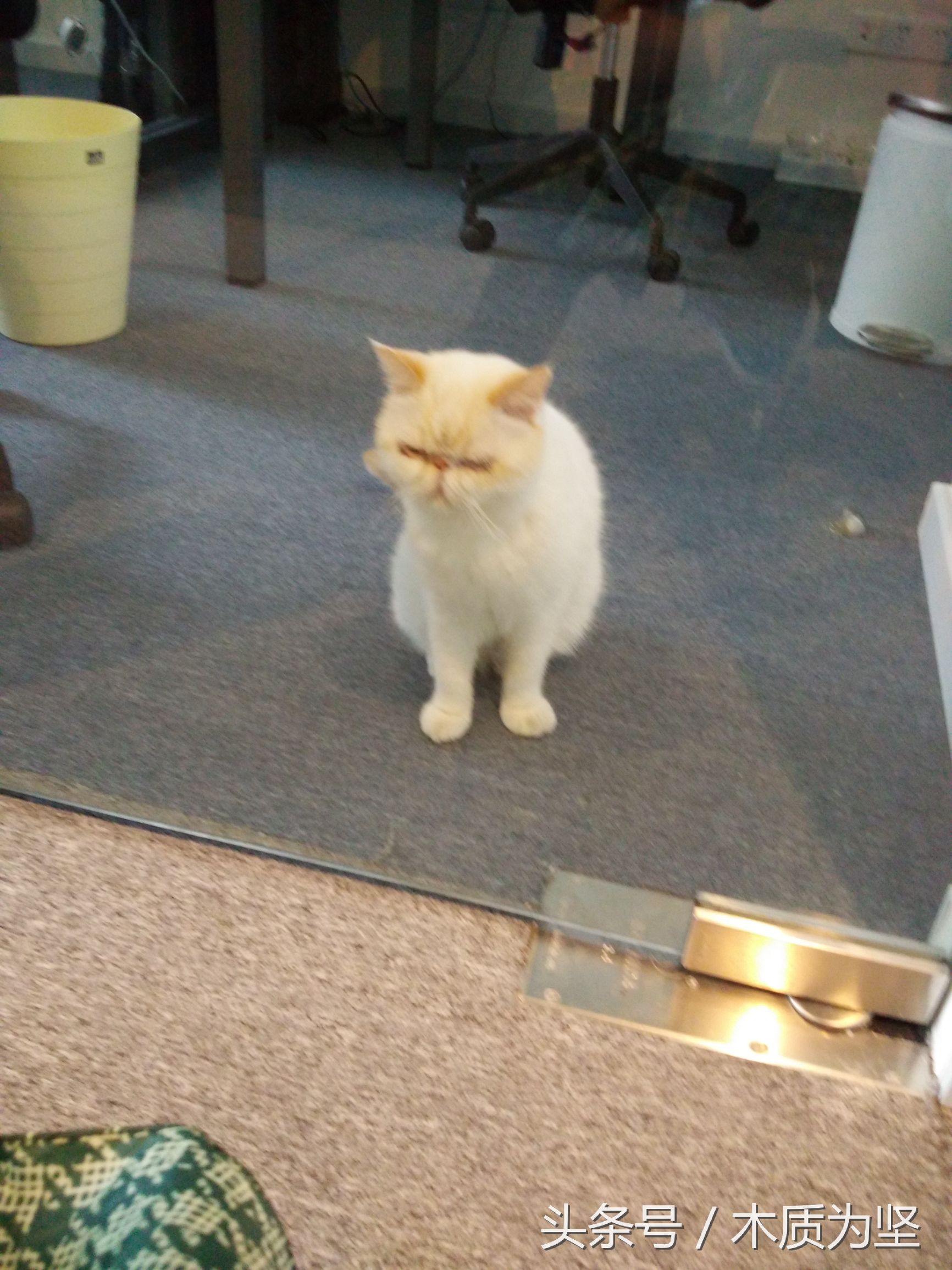 拜访深圳创客空间，看到了凤凰卫视曾做专访的角落（2）。。。