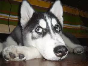 昔日女神操刀卖假货,去黑头只能靠老方法