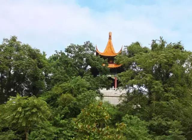 你只听过汉南,却不知道它的传奇!今年的汉南将高不可攀!